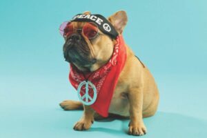 Decatur Area Calendar of Events