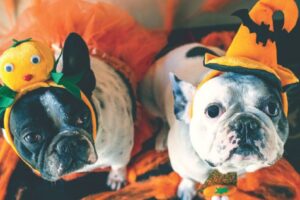 Decatur Area Calendar of Events